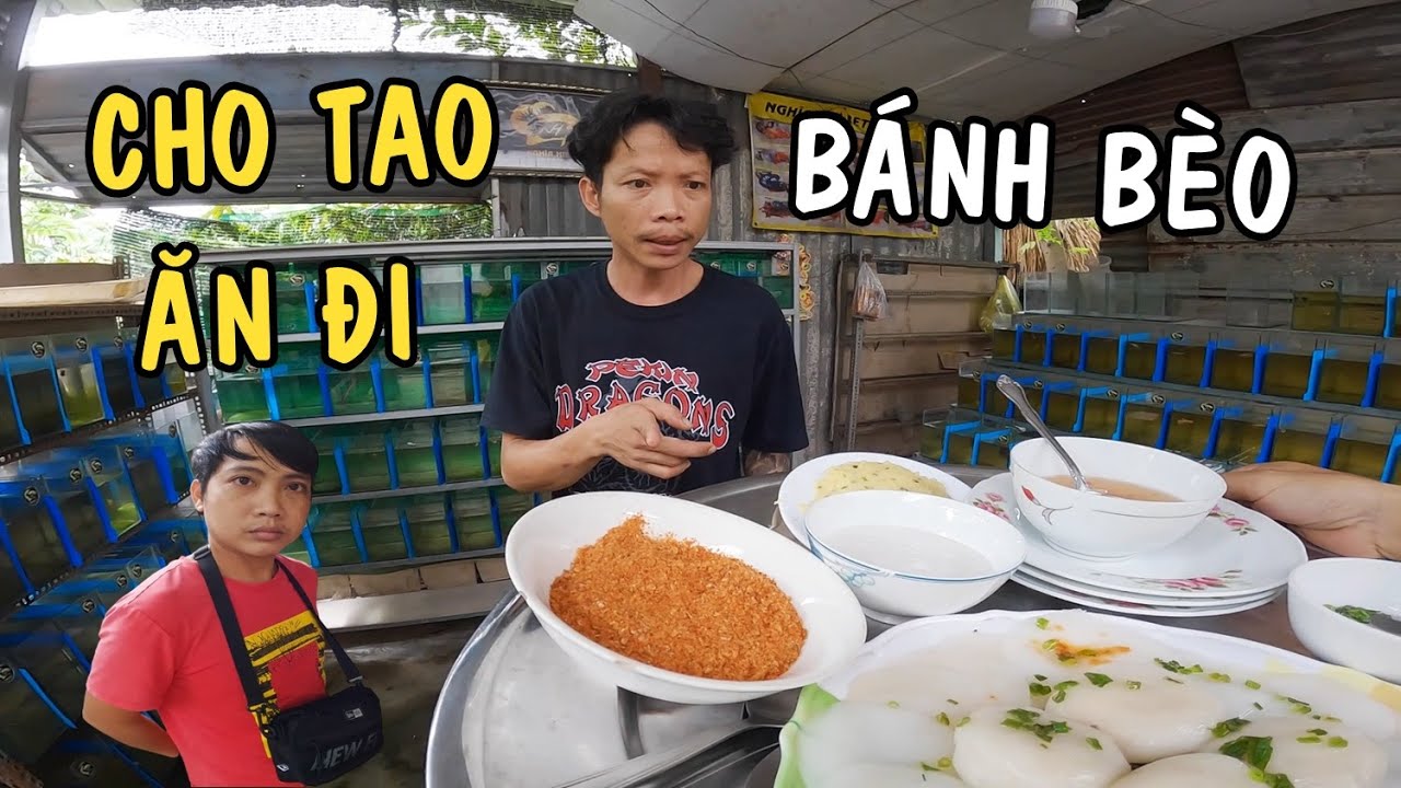 Trã đủa ông chủ trại cá Betta bằng cái Bánh Bèo giá 100k và cái kết quá đắng cây