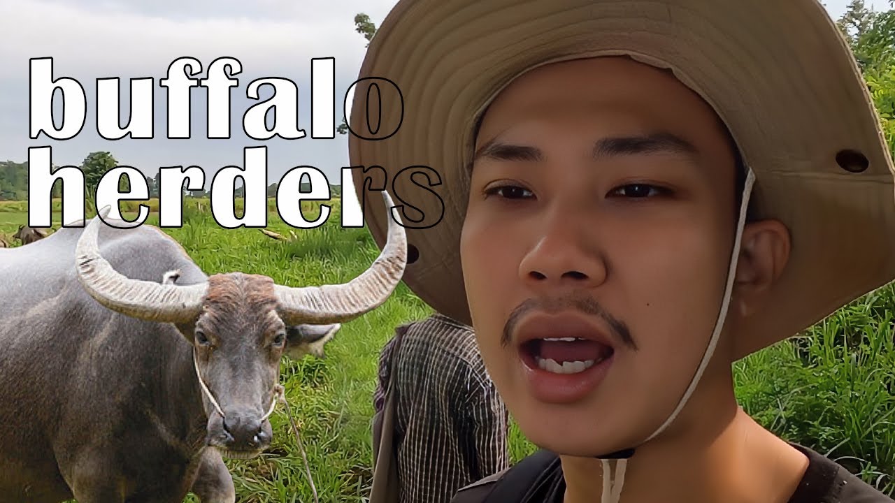 1 day with buffalo farming in Thailand