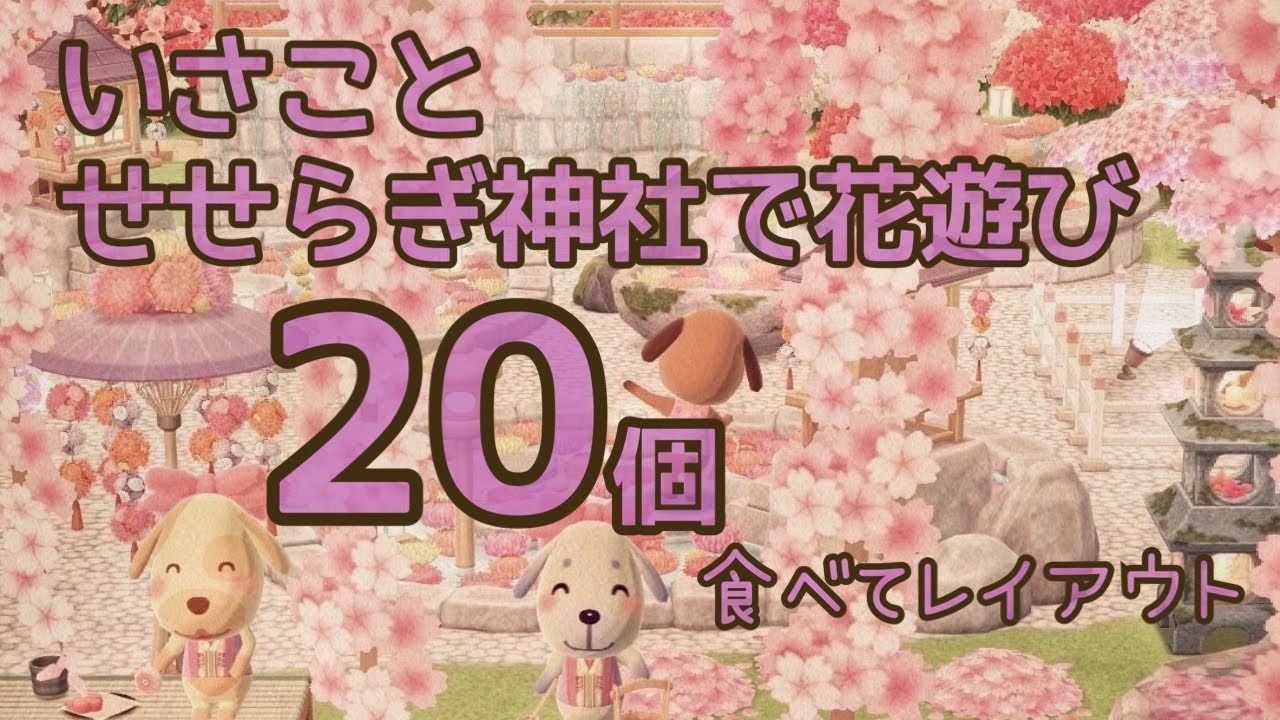 ポケ森新クッキー、いさことせせらぎ神社で花遊びを20個食べてキャンプ場でレイアウトしました！！