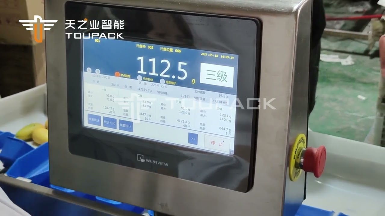 Stainless Steel 304 Automatic Size Sorting Machine For Mango Fruit Vegetables Grading
