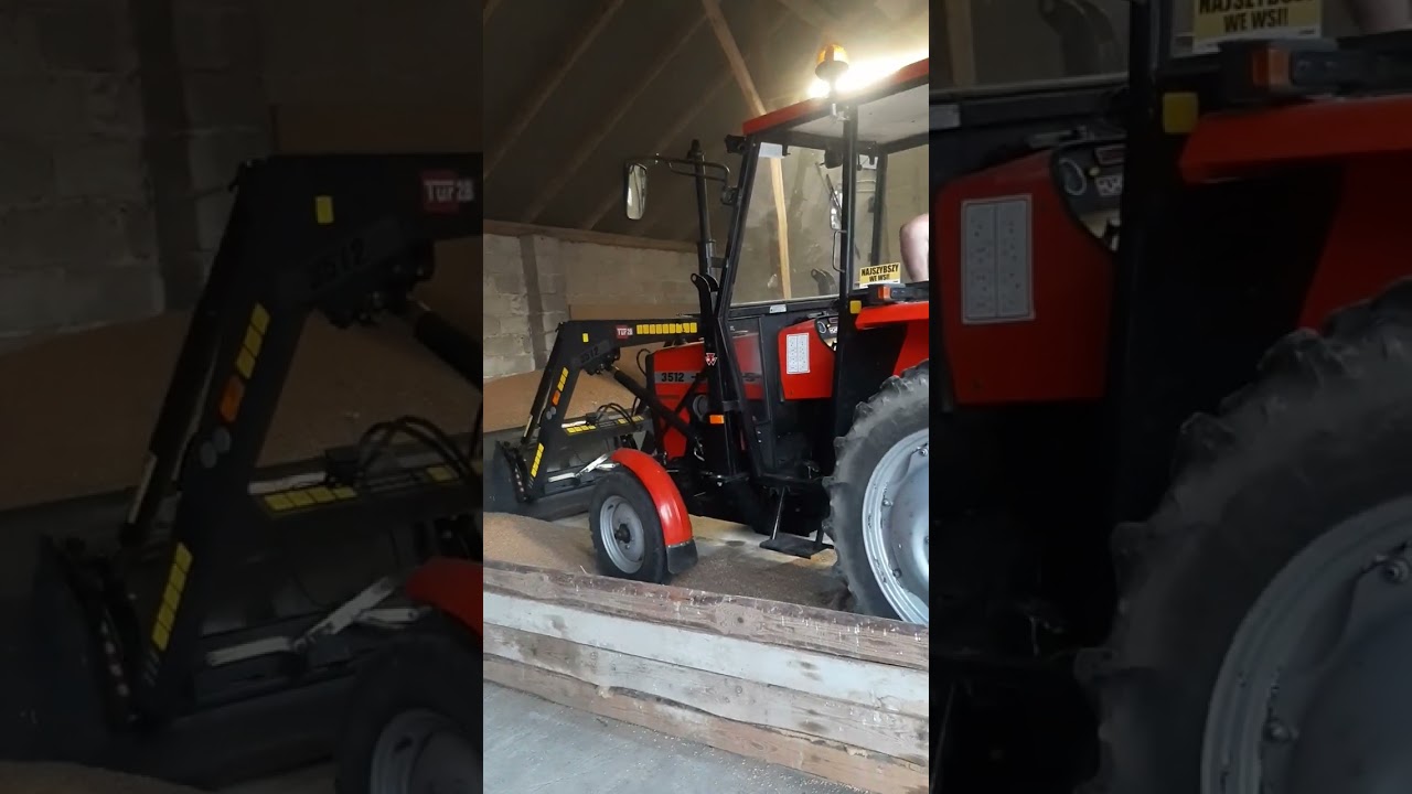 URSUS 3512 ZAMIAST ŁADOWARKI. OGIEŃ NA TŁOKI PODWALANIE PSZENICY 🤣🤣🤣😀😀😀😘