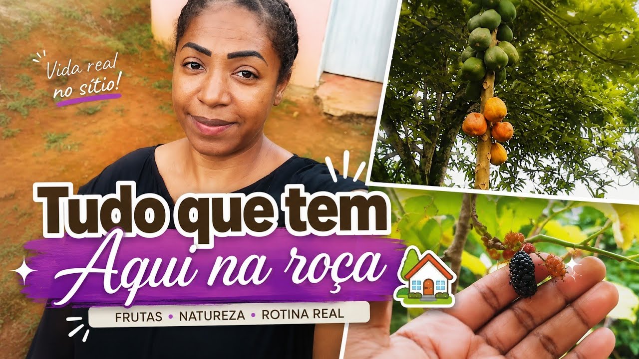 TUDO QUE TEM AQUI NA ROÇA 🏡 #naroça #bahia #ferias 🙏🏾