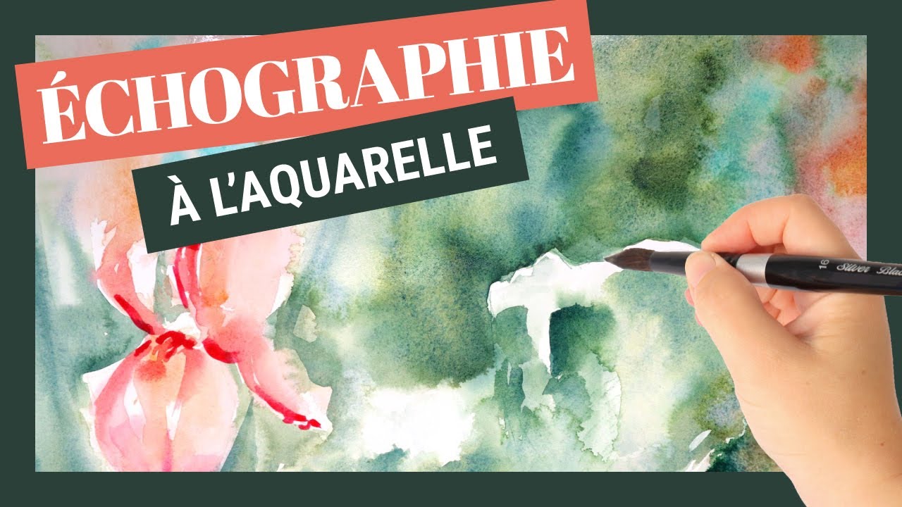 Peindre un échographie à l'aquarelle - Annonce !