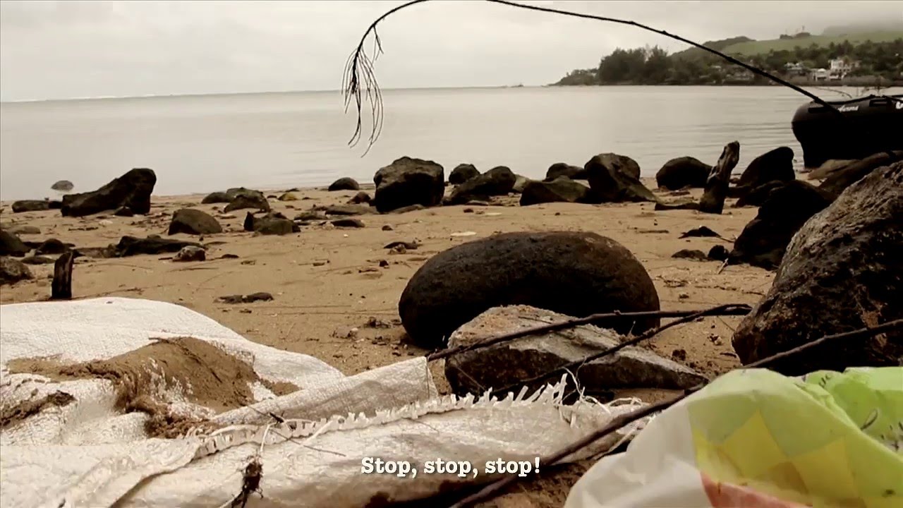 STOP POLLUTION | Stop Polisyon | Mauritius