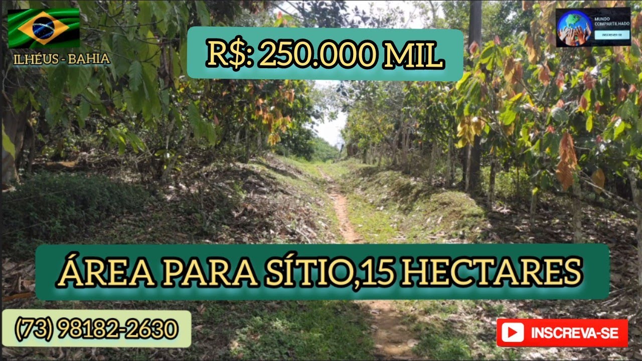 Sítio a venda, área  de 15 hectares,6 hectares de cacau produtivos,R$: 250.000 MIL, ILHÉUS - BAHIA