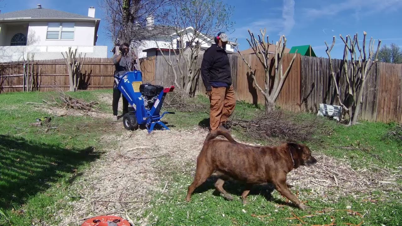 CHIPPING WOOD | BLUEBIRD 4 INCH CHIPPER RENTAL