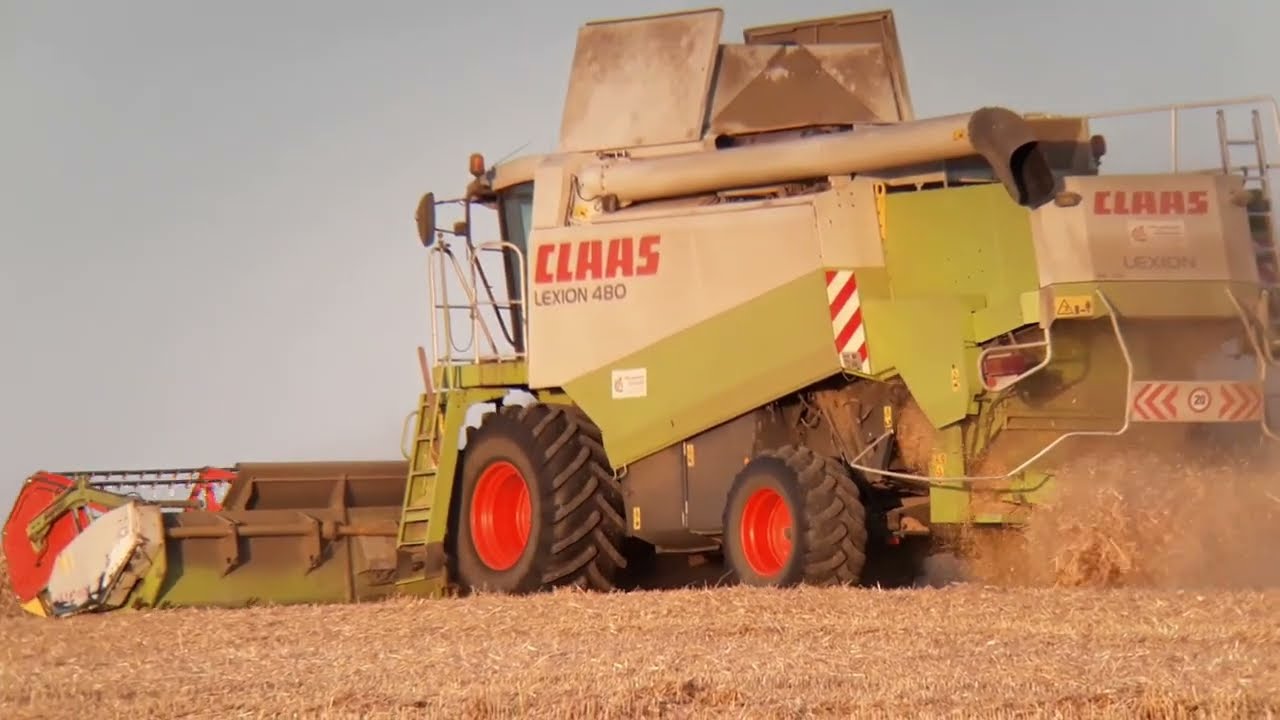 Żniwa 2022 