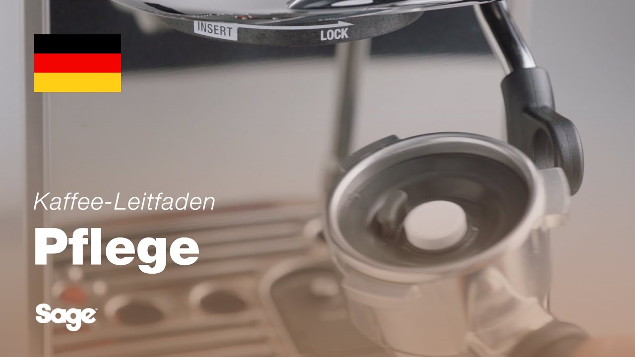 The Bambino® Plus | Anleitung für einen Reinigungszyklus in 9 Schritten | Sage Appliances DE