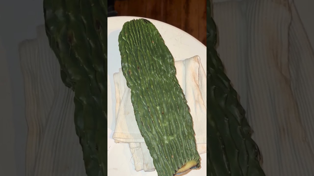 Rare cactus 