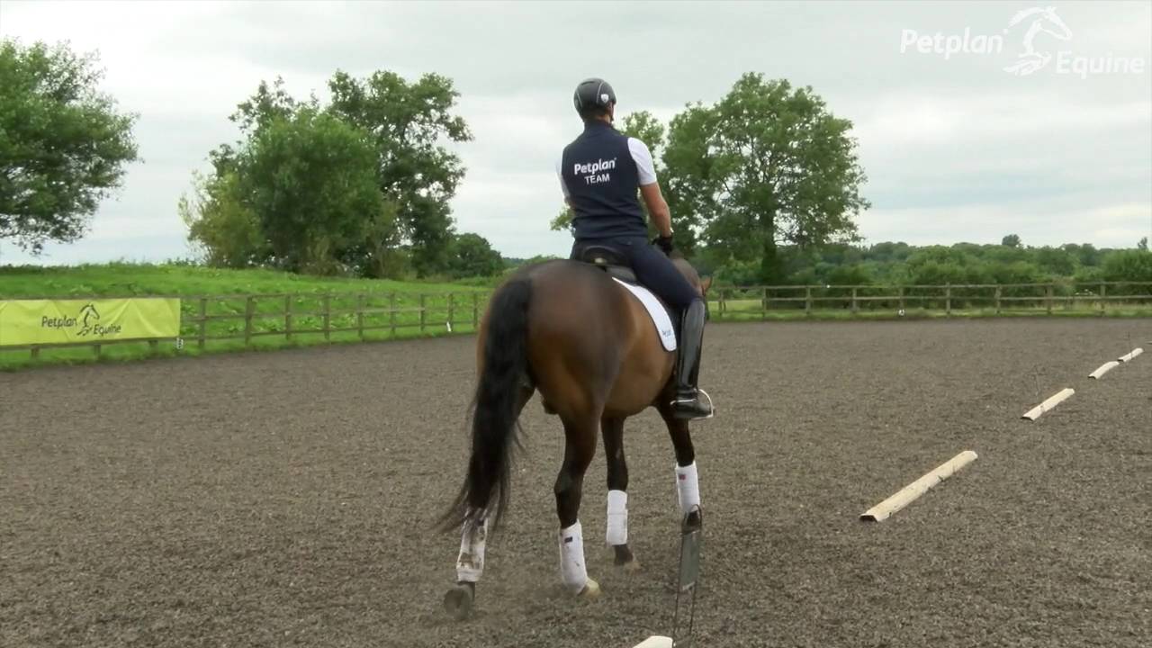 Secrets to success - Preparing for your novice Petplan Equine Area Festival