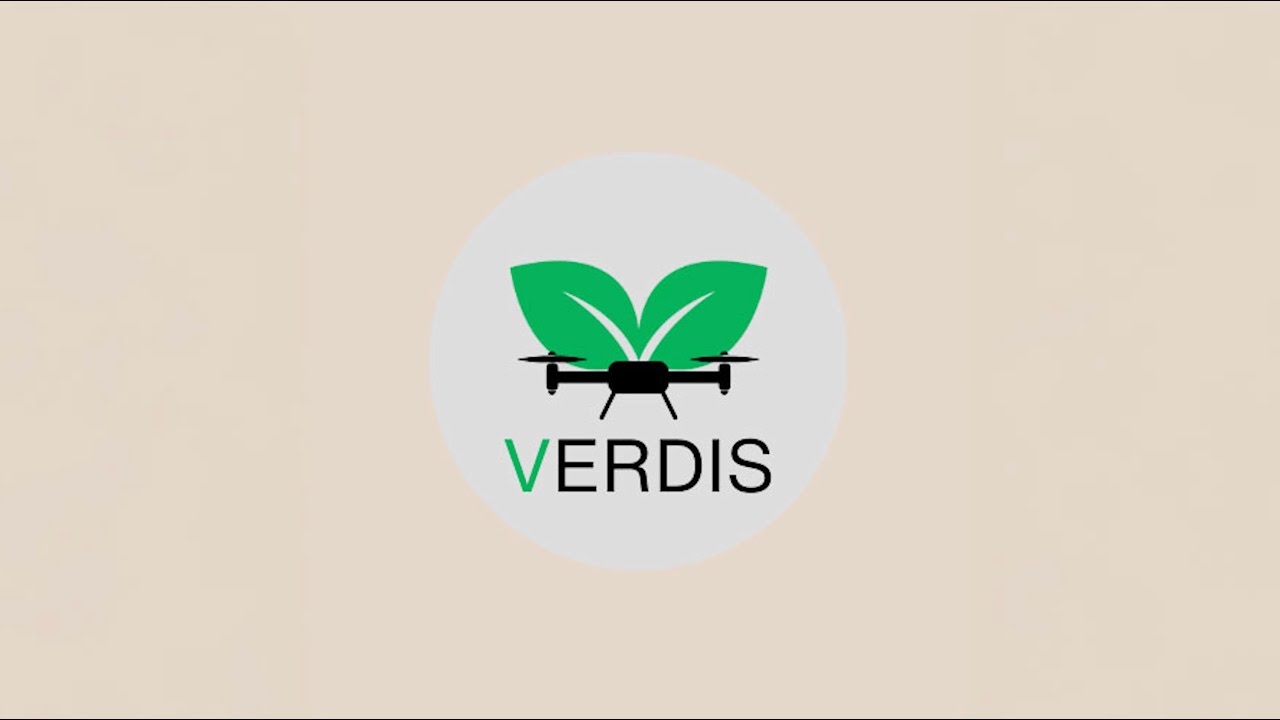 VERDIS - Presidential AI Challenge 2026