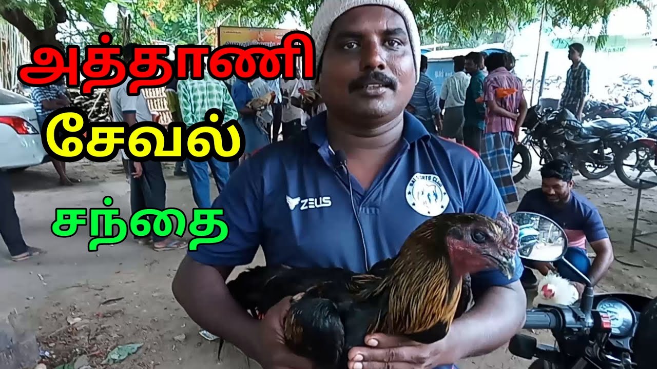 அத்தாணி சேவல் சந்தை / அந்தியூர் தாலுக்கா