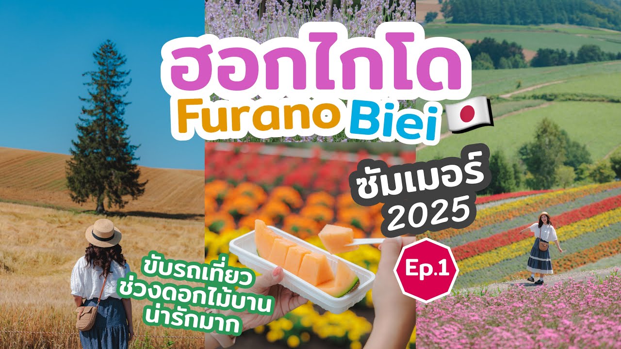 เที่ยวญี่ปุ่น ฮอกไกโด ช่วงซัมเมอร์ ฤดูดอกไม้สวยแนะนำที่เที่ยว ที่พัก ที่กิน บอกทุกรายละเอียด ปี 2025