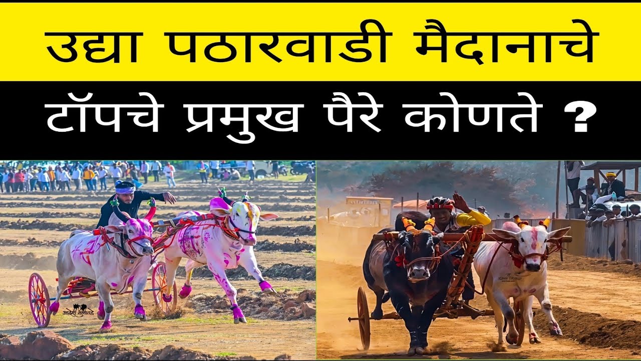 उद्या पठारवाडी येथे होणाऱ्या ओपन मैदानात कोण कोणते टॉपचे पैरे झाले आहेत ? बकासुर आणि वादळ पळणार का ?