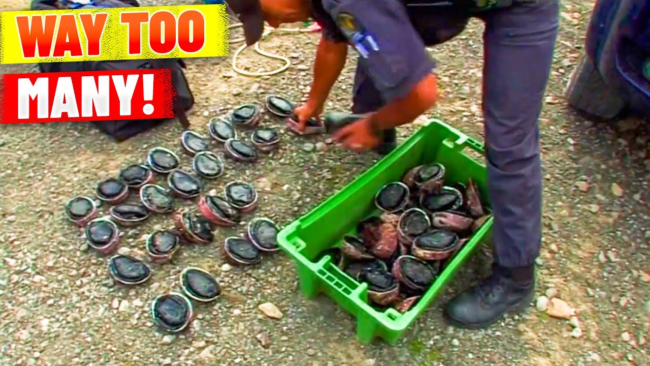 Divers Caught Ditching Massive Illegal Catch - Coastwatch Season 6 Episode 6 (OFFICIAL UPLOAD)