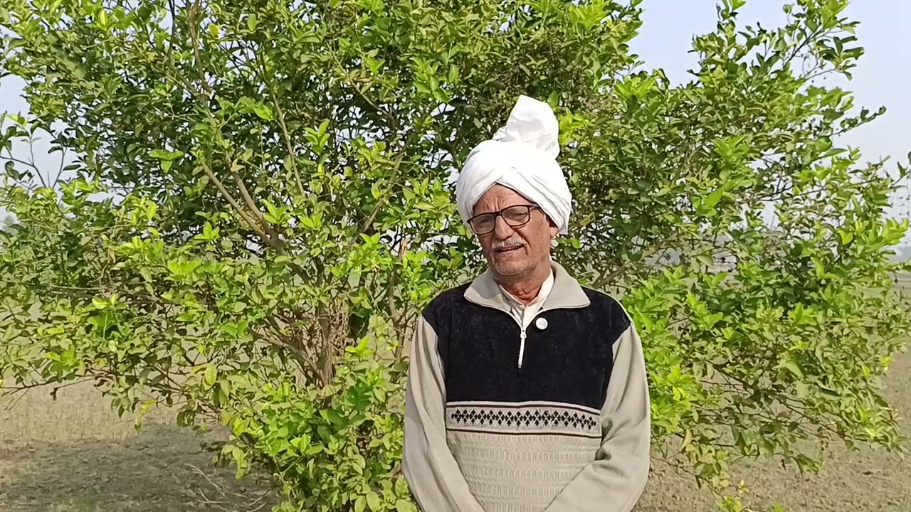 शराबियों के कारण एक बार फिर बारात पिटी बैरंग लौटे बिना दुल्हन के शराब पीने जाते हो या बहू लेने शर्म 