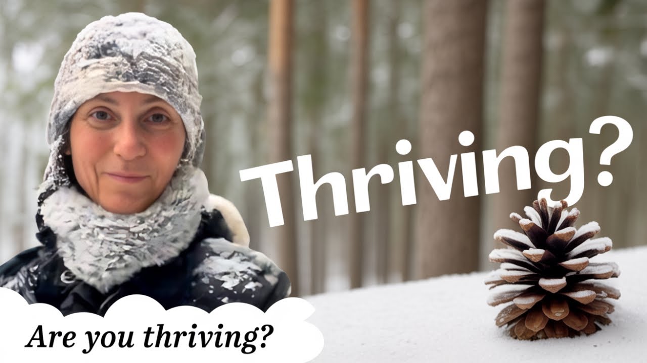 Beyond Just Existing - A Guide To Thrive Being YOU