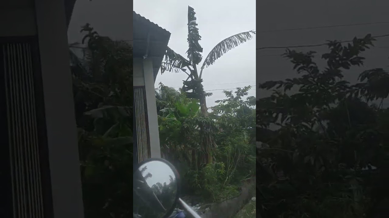 MENJEMUR IKAN ASIN