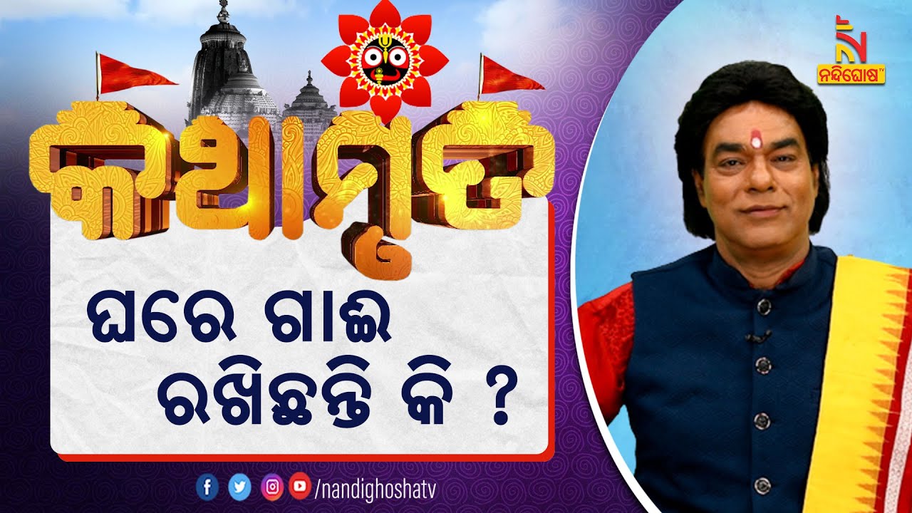 ଯଦି ଗାଈ କ୍ଷୀର ଦେଉ ନାହିଁ ତେବେ କରନ୍ତୁ ଏହି ଉପାୟ |  ପ୍ରବଚକ ପଣ୍ଡିତ ଜିତୁ ଦାଶ | Kathamruta | NandighoshaTV