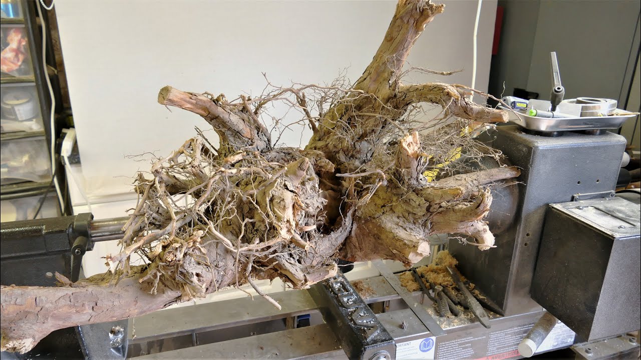 Woodturning - A Massive Root Transformation!