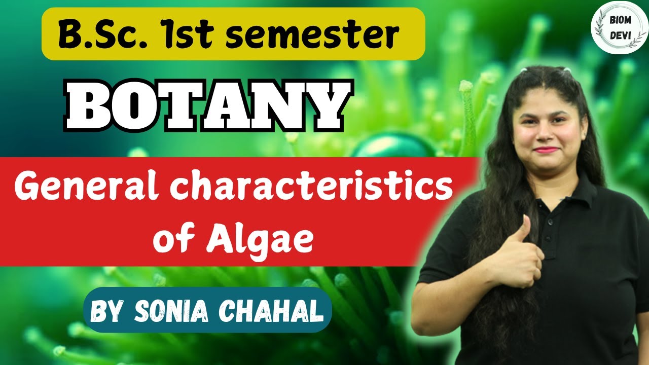 General Characteristics of Algae| | B.Sc. Botany 1st Semester | By SONIA Ma'am