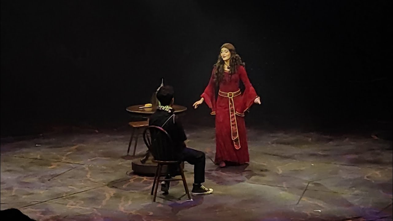 Let's Get Wicked featuring Mother Gothel  | Disneyland Hong Kong
