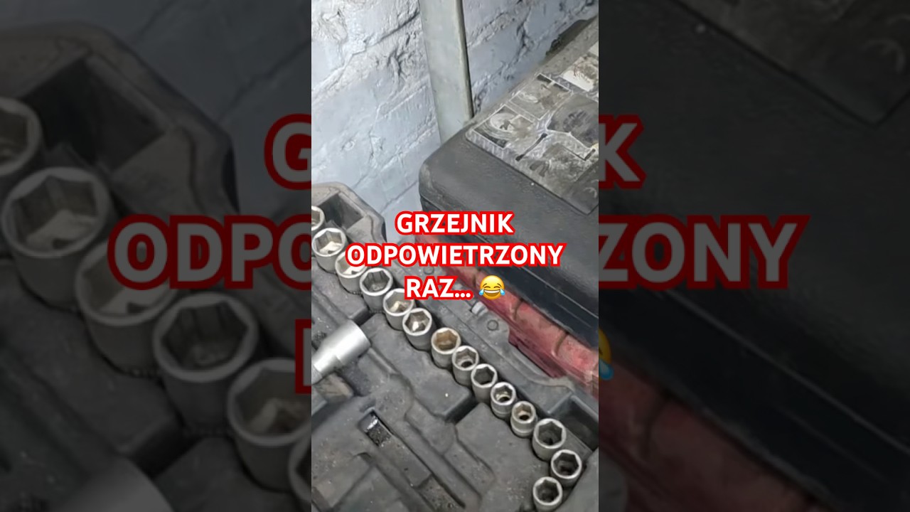 GRZEJNIK ODPOWIETRZONY RAZ 😂 #graoplon #shorst #funnymoments