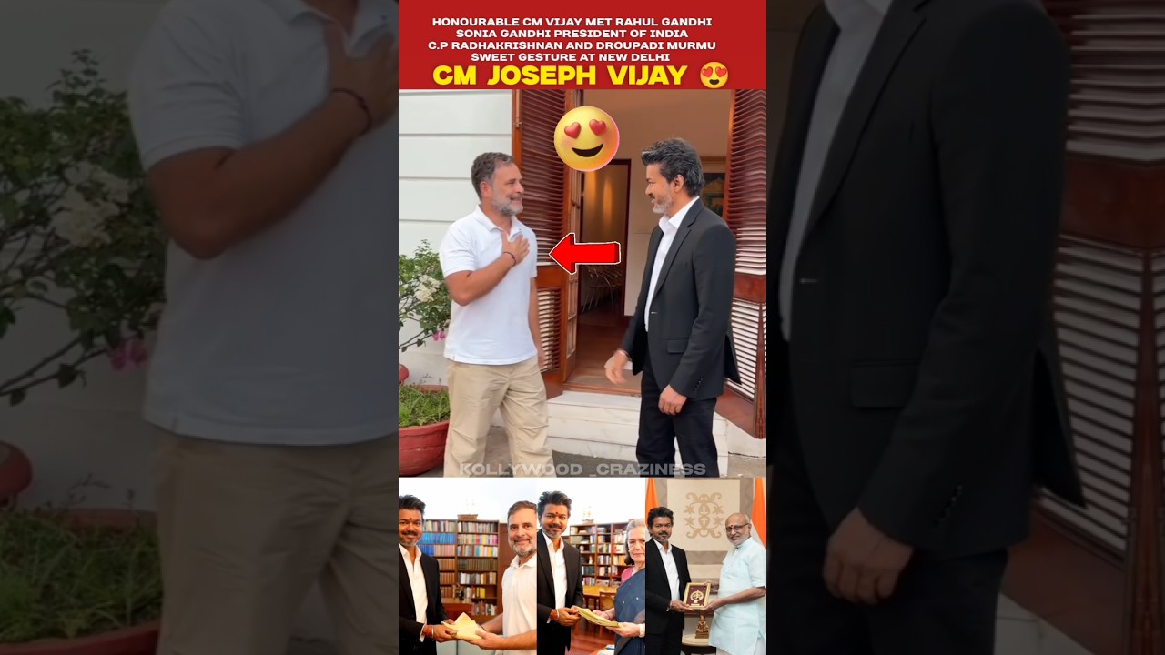😍 CM Joseph Vijay Met Rahul Gandhi, Sonia Gandhi at Delhi 💫 #cmvijay #tvk #trending #shorts #viral