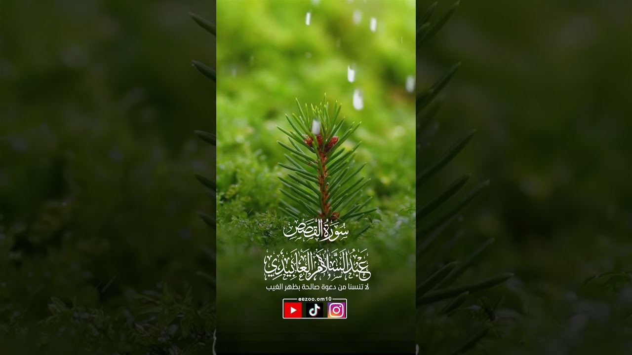 ماتيسر من سورة القصص - الشيخ عبد السلام العابيدي