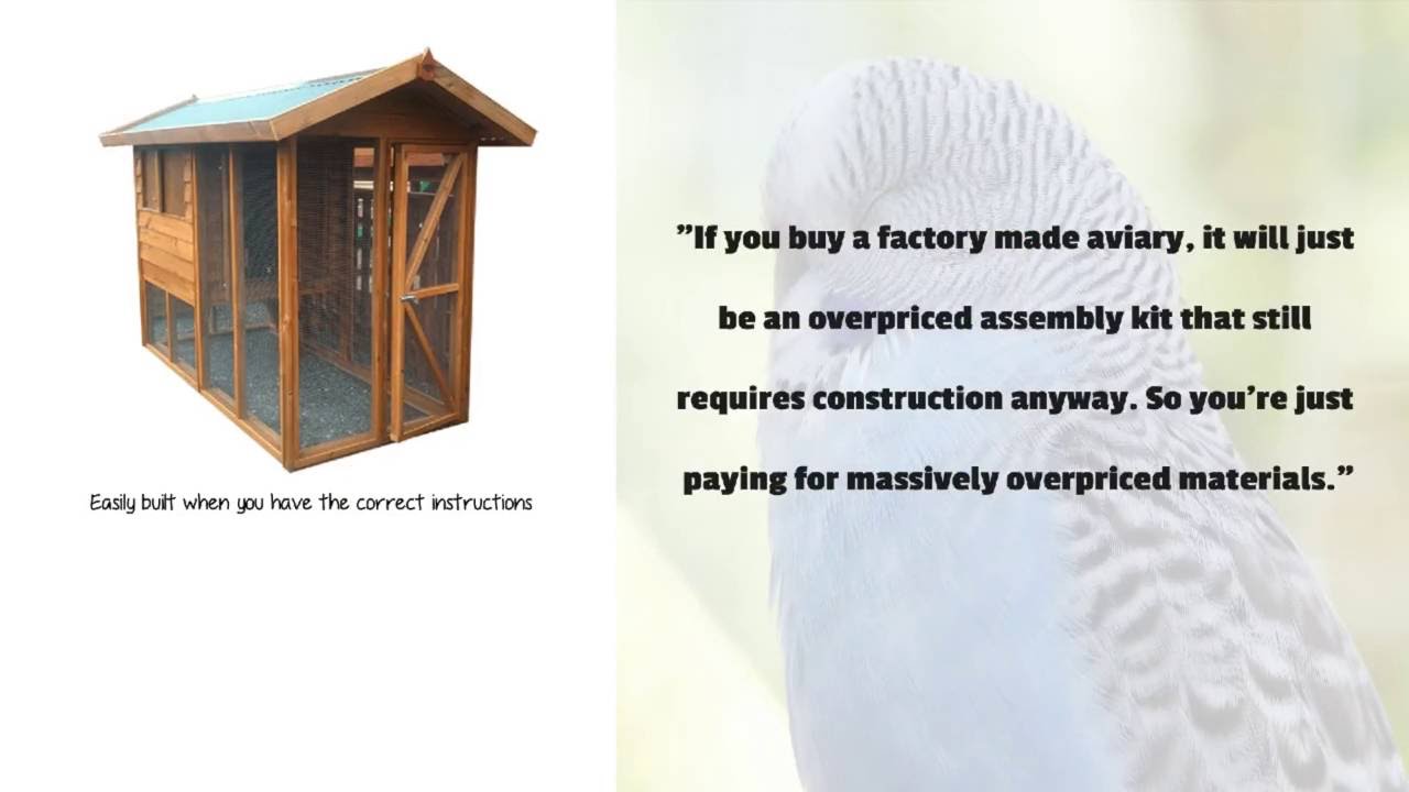 Building An Aviary Cheap
