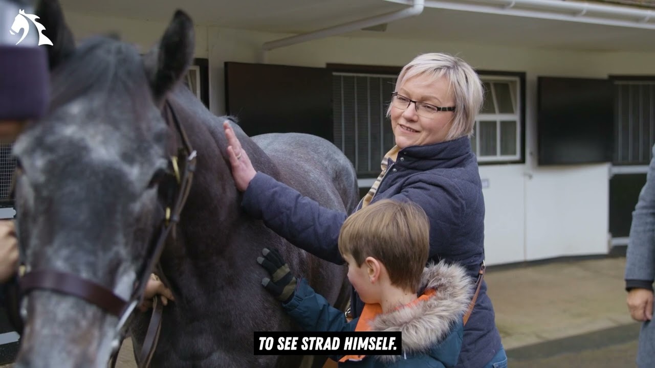 Stradivarius Breeding Syndicate owner testimonial