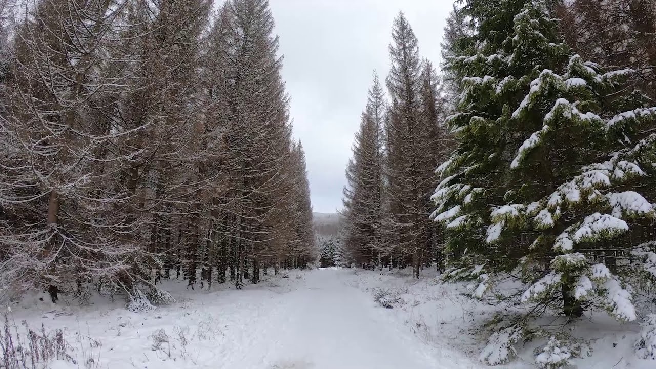 Winter in Schierke, Germany