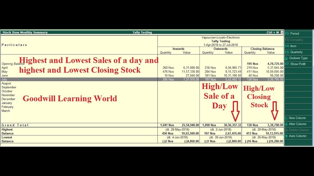 Tally TDL to View Highest and Lowest sale quantity and closing stock in stock summary