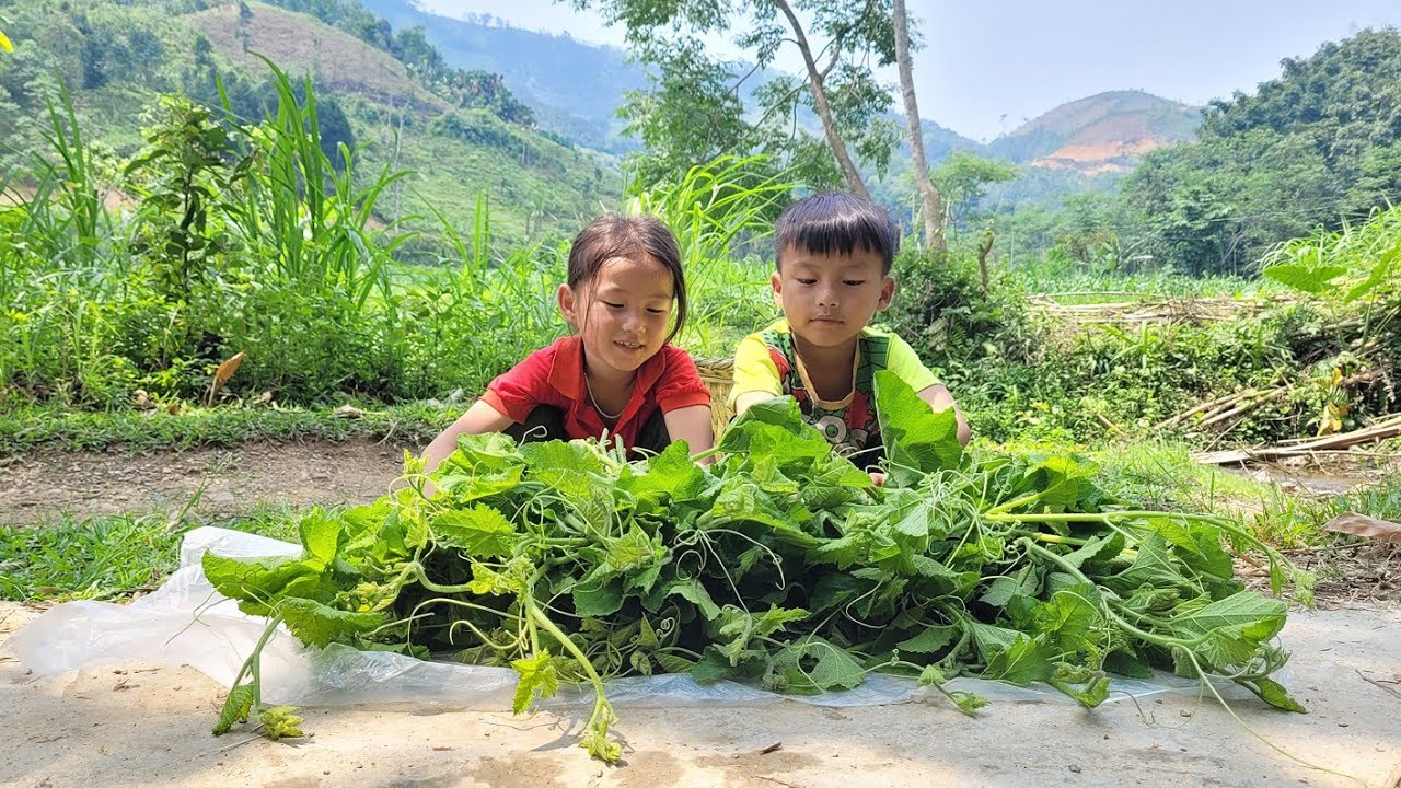 Someone went to clear the fields, the two of us picked vegetables to sell