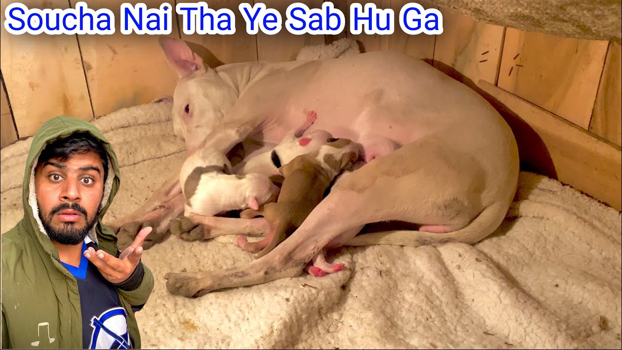 24 Ghantay Main Good News 🗞️ Bad News 🗞️ Ban Gai😭😭 Punjabi Shok Vlogs