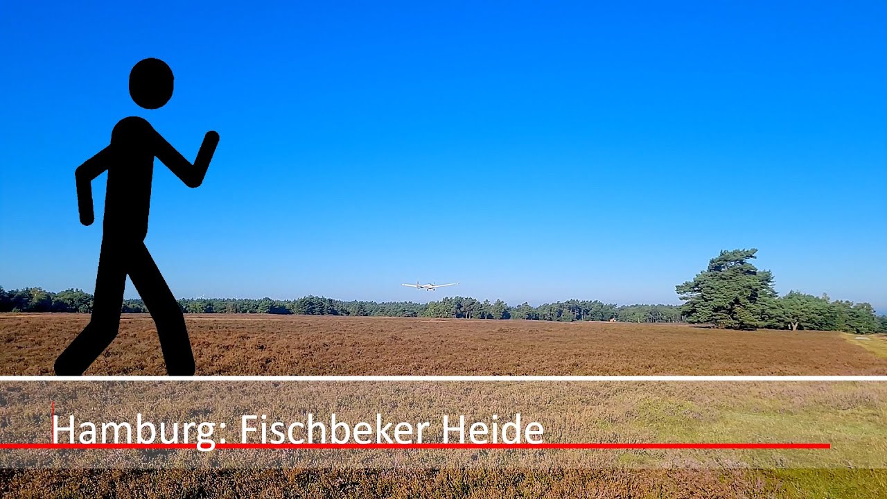 Der Geher in Hamburg: Fischbeker Heide