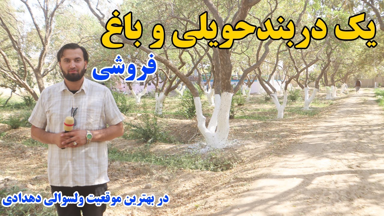 گزارش افغان مایک: یک دربند حویلی و باغ با ساحه 5نیم جریب فروشی،فارم مرغ گوشتی،خدماتafghan mic