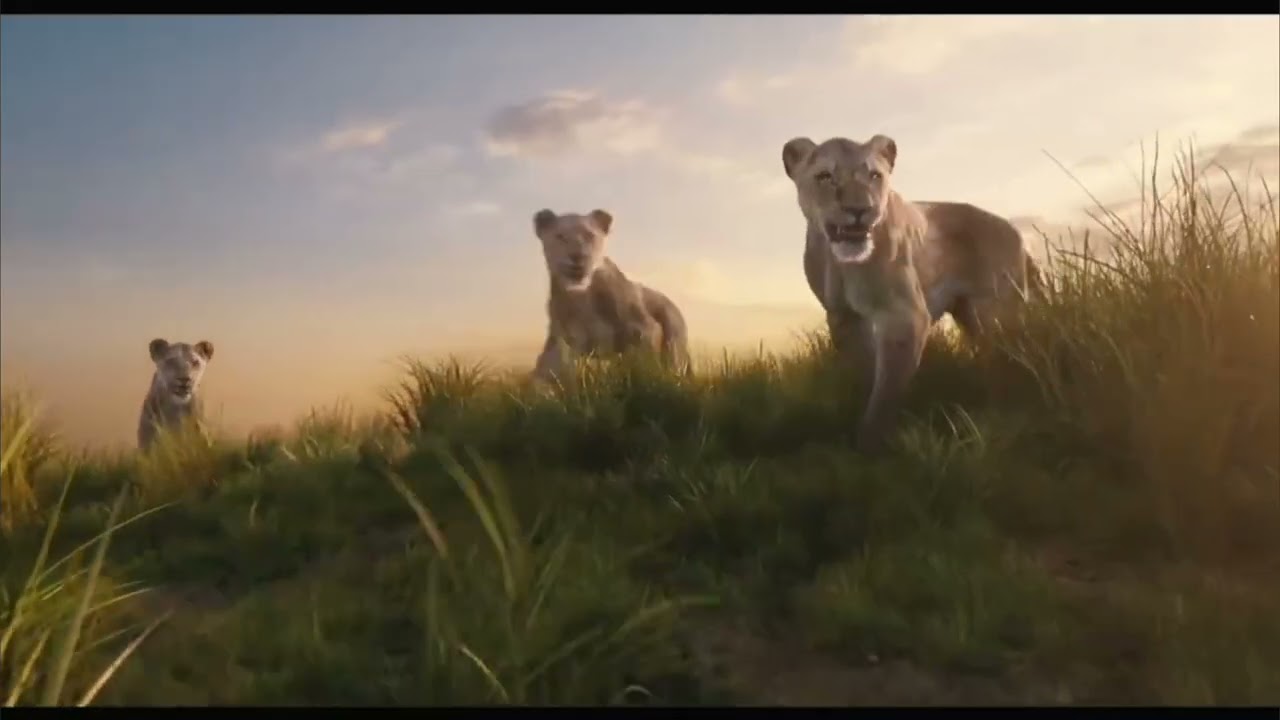 mladunče mufasa & taka uvijek sam želio brata