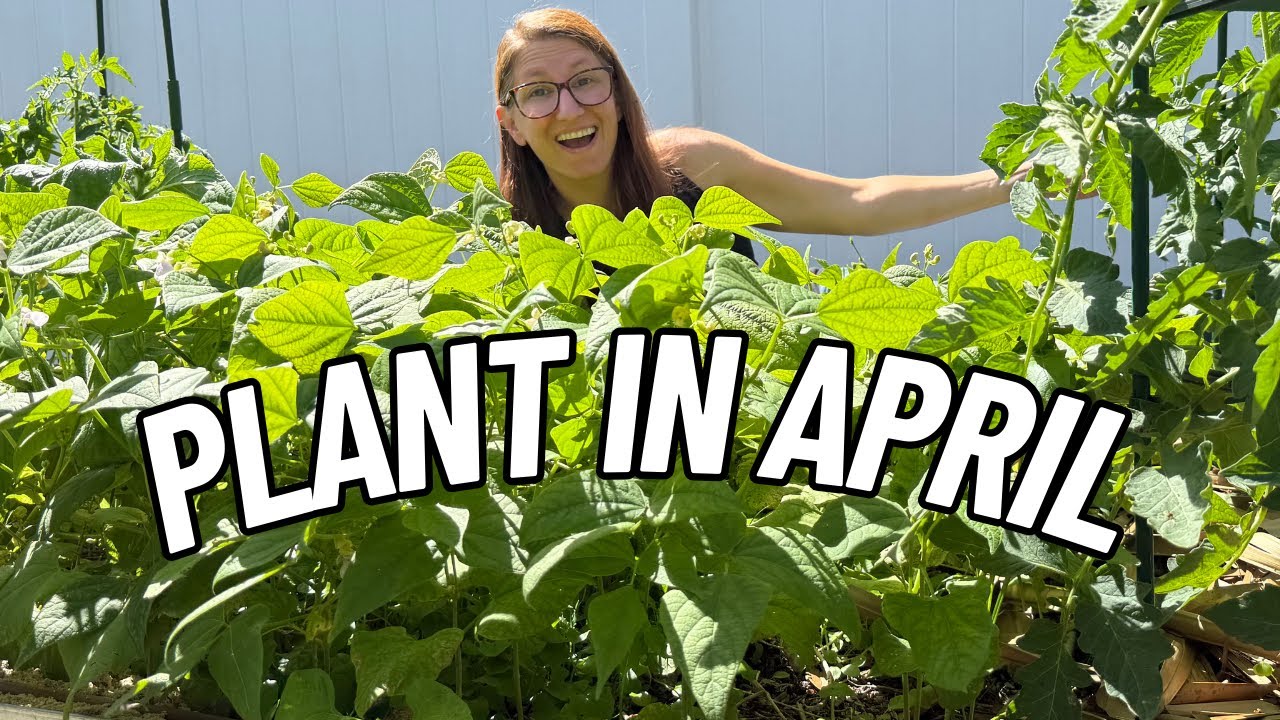 25 Awesome Veggies You Should Plant in April