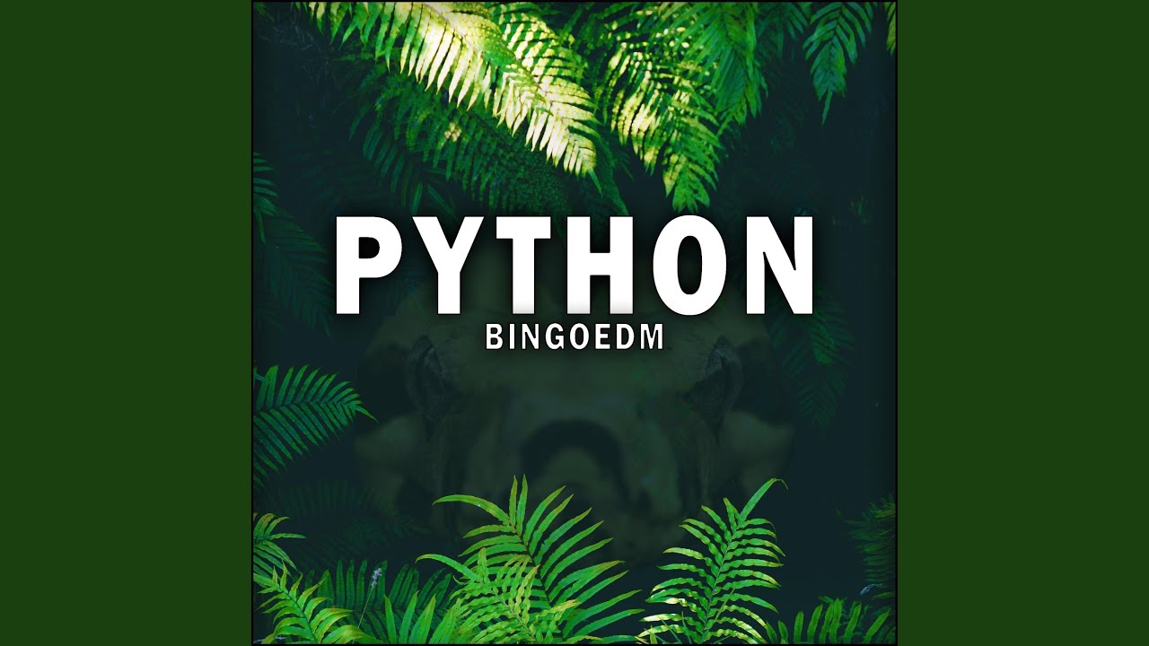 Python