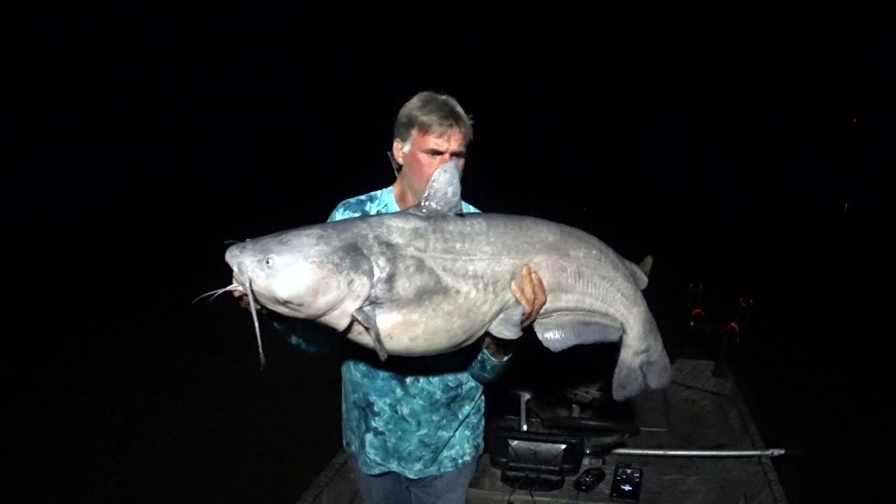 The Emory River Catfish Adventure