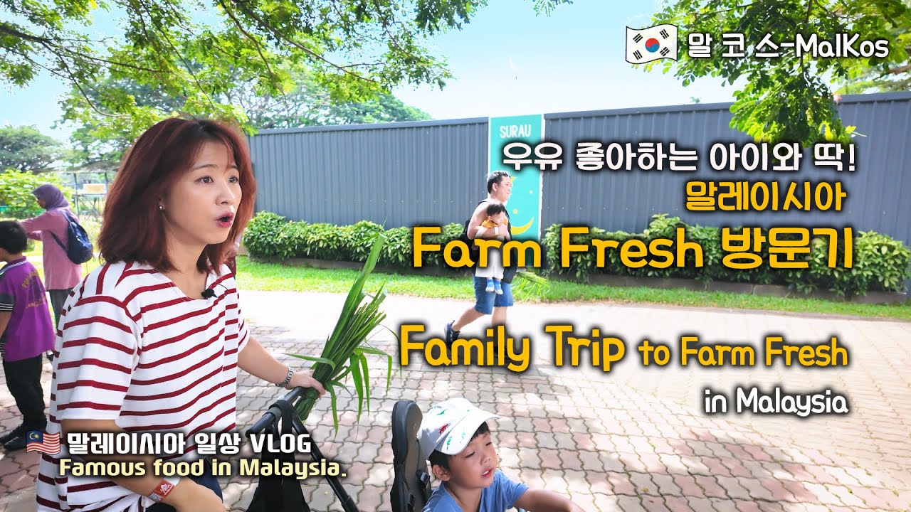 아이랑 함께한 말레이시아 농장 체험 | FARM FRESH @ UPM 리얼 후기 ☀️