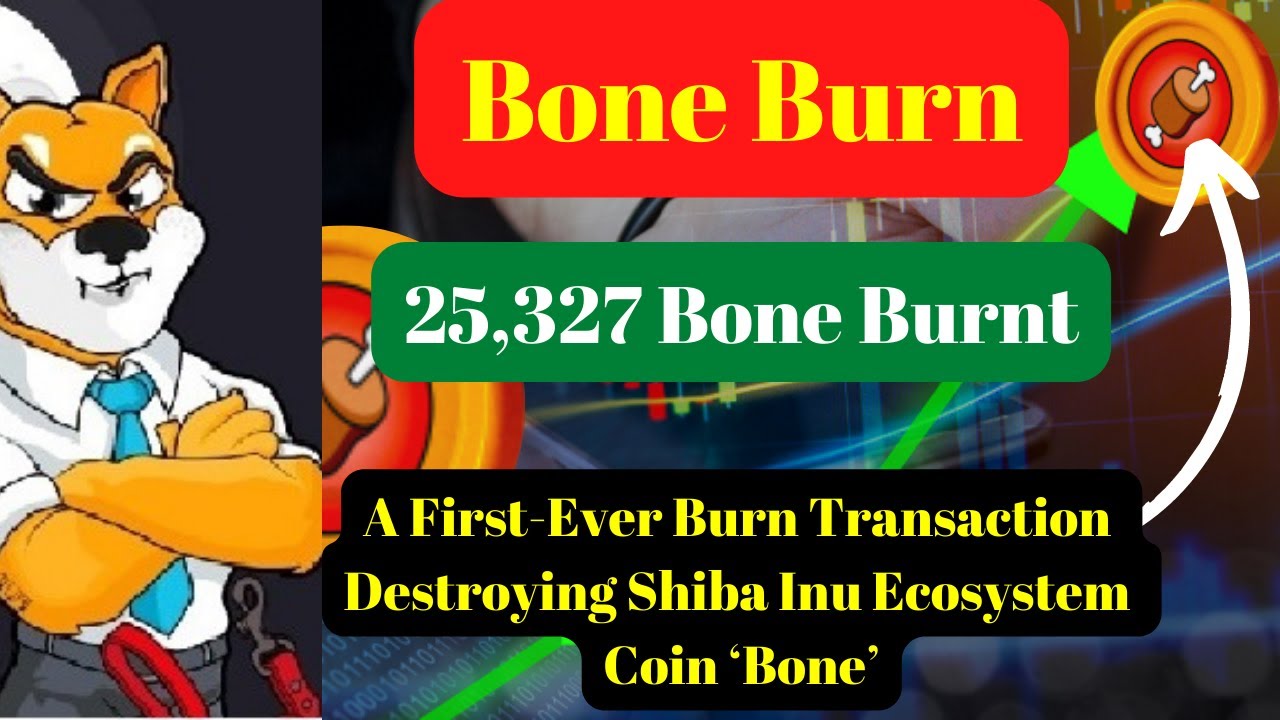 Bone Burnt, A First Ever Burn Transaction Destroying Shiba Inu Ecosystem Coin &lsquo;Bone&rsquo;