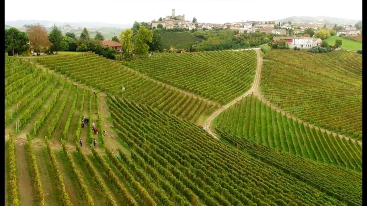Cavallotto - over de cru Bricco Boschis in Barolo