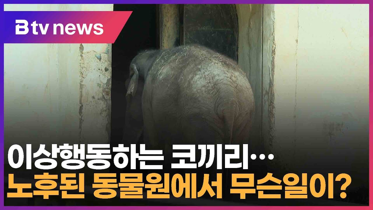'노후&middot;열악' 54년 전 지은 동물원&hellip;340마리 생활 (대구)