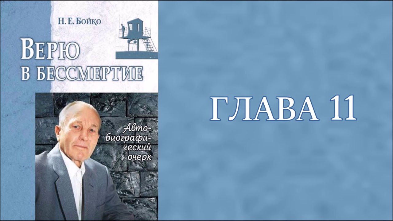 Верю в бессмертие. Глава 11. Бойко Николай Ерофеевич.