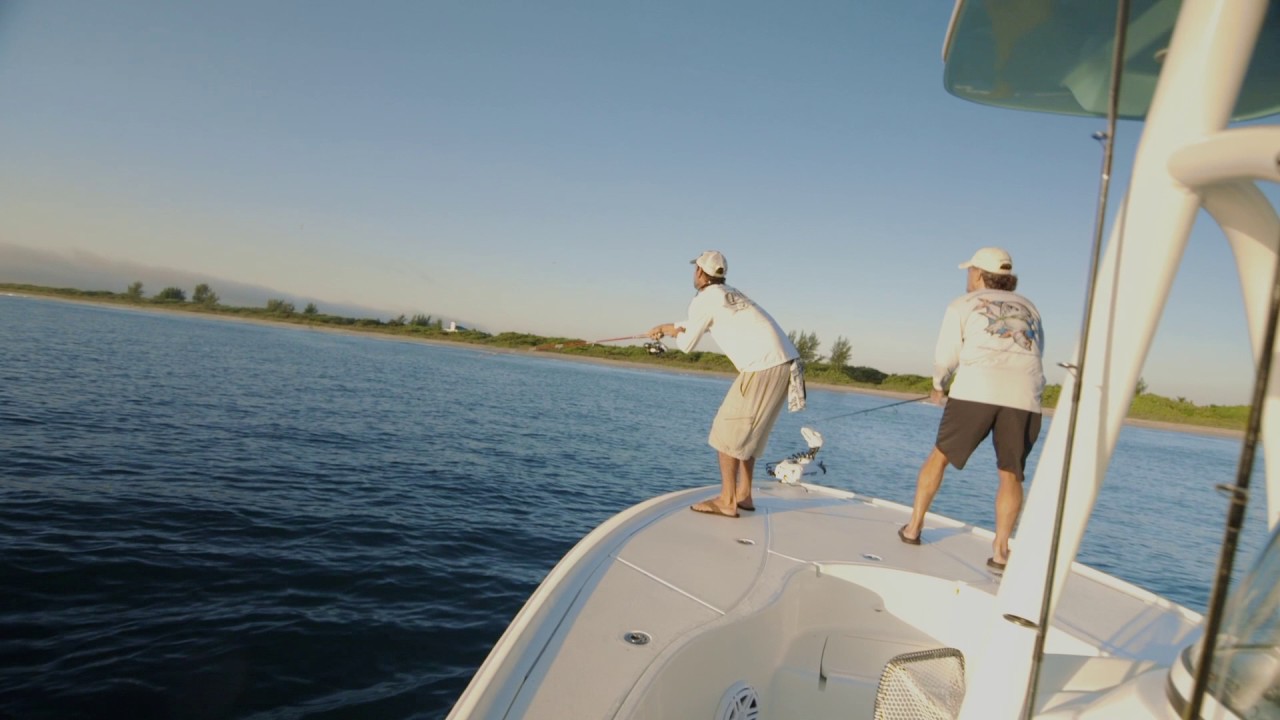 Predators and the Prey | Florida | Season 4 Episode 3 TEASER