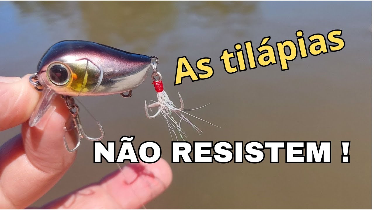 Tilápia na artificial | Pescaria ultralight | Isca da China aprovada | #pescaria #tilapia