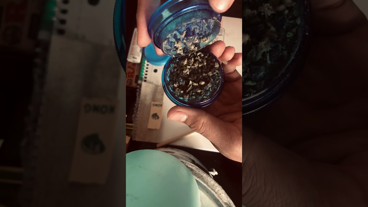 Rolling a Drizzle OG blunt with KONG&reg;️ hemp blunt wraps
