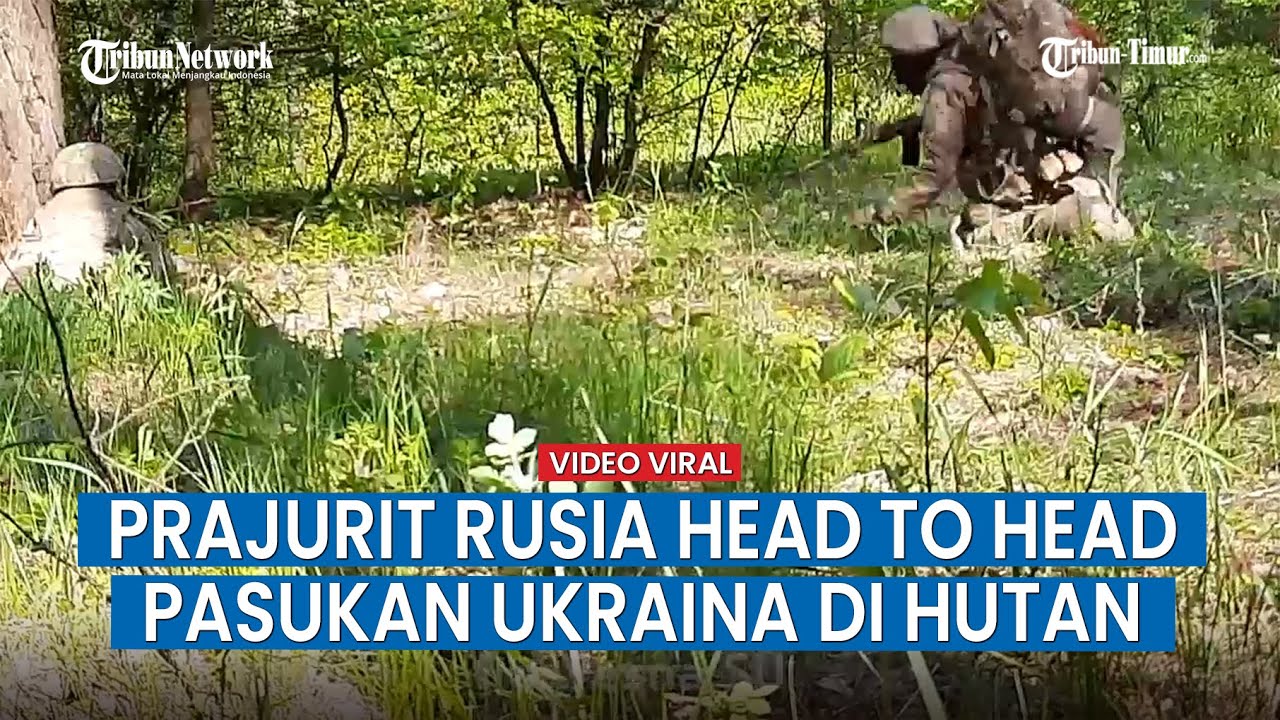 Beginilah Situasi Pertempuran Pasukan Rusia Lawan Ukraina di Hutan, Sunyi Hanya Terdengar Tembakan